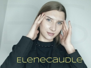 Elenecaudle