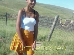 Turtledovey