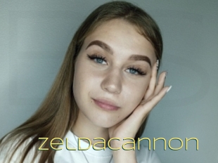 Zeldacannon